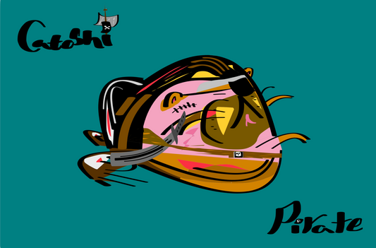 Colorful illustration of a cat pirate hat with sunglasses on a teal background