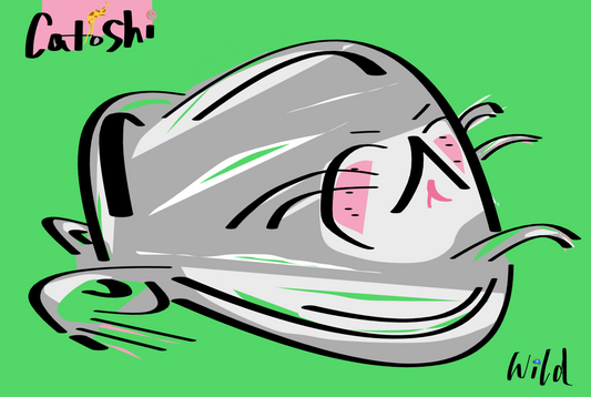 Cartoon character on a green background, featuring the brand 'Catoshi'.