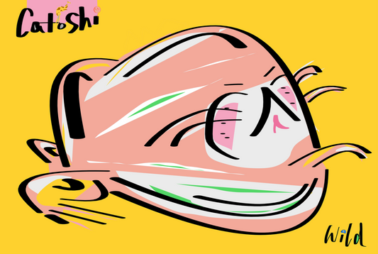 Cartoon cat face with sunglasses on a yellow background, featuring the brand 'Catoshi'.