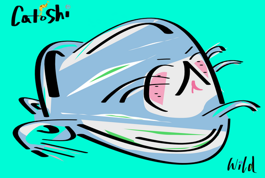 Illustration of a character on a teal background, featuring the brand 'Catoshi'.